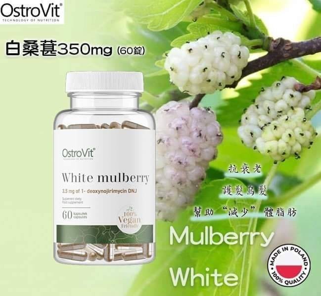 🇵🇱歐洲波蘭 OstroVit 白桑葚350mg 60錠
