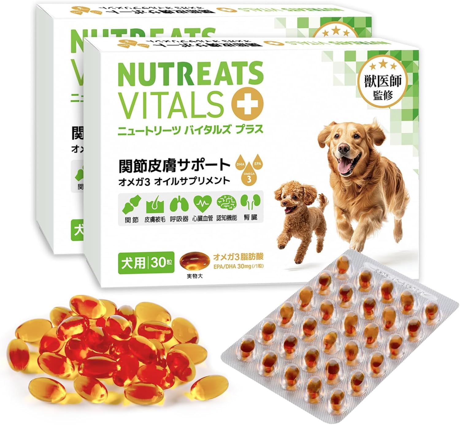 🇯🇵 日本境內 【獸醫監督】Nutreats Vitalz Plus 狗狗 Omega-3 關節皮膚保健寵物營養補充劑 綠唇貽貝魚油 30入/盒